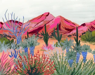 Panorama coloré du désert