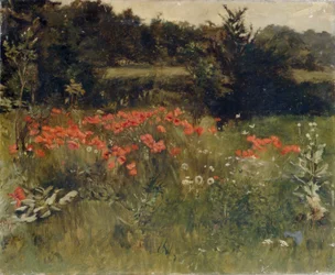 Coquelicots, Reigate