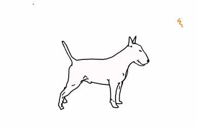 Bull terrier, 2018
