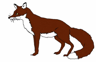 Renard, 2018