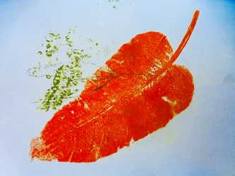 Feuille orange, 2020