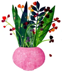 Pot rose