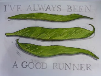 Haricots verts