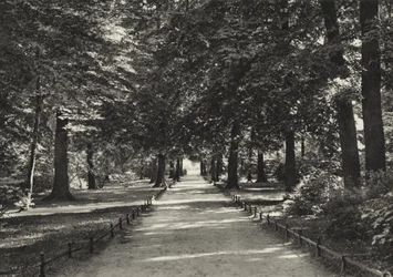 Berlin : Tiergarten