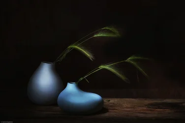 Nature morte à l