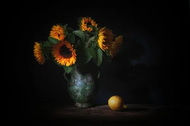 Tournesols et citron dramatiques