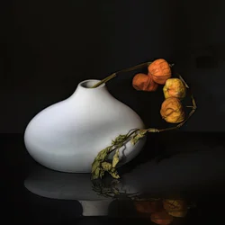 Élégante nature morte aux physalis