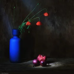 Nature morte aux coquelicots mélancoliques