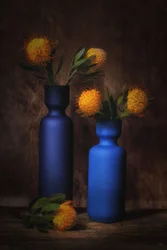 Des fleurs d