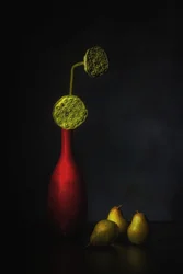 Vase rouge, lotus et poires