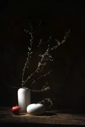 Nature morte rustique avec pomme