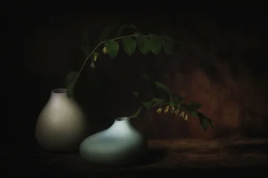 Nature morte botanique sereine