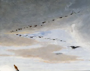 Oiseaux en formation en V (détail)