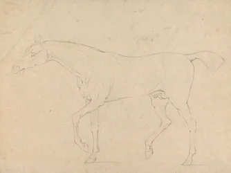 Un cheval