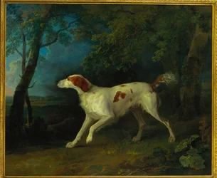Un setter brun et blanc dans un paysage boisé, 1773