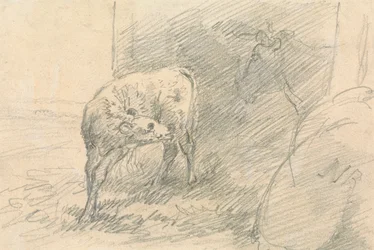 Veau, avec tête de vache