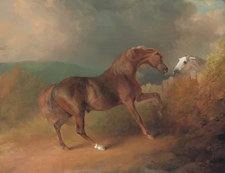 Jupiter du Colonel Thornton, par Eclipse d