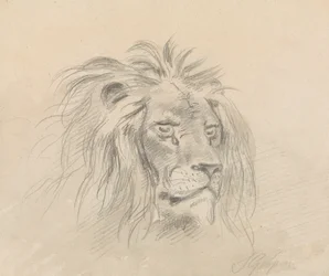 Tête de lion