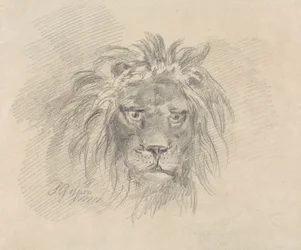 Tête de lion