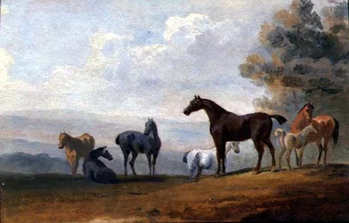 Chevaux
