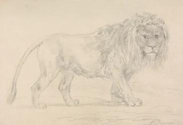 Lion marchant