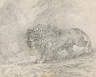 Lion marchant dans un paysage rocheux