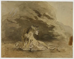 Lionnes et lionceaux