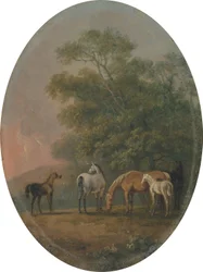 Juments et poulains, c.1770-80