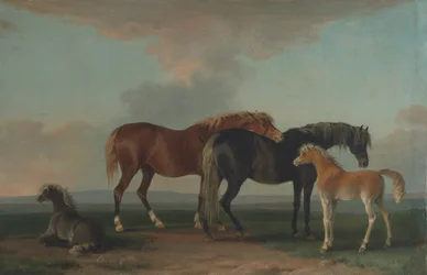 Juments et poulains, face à droite