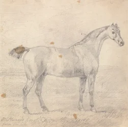 Le cheval de M. Plumer