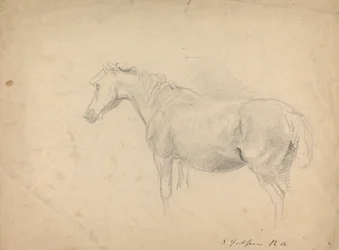 Croquis d