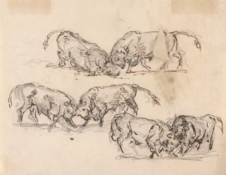 Études de corrida