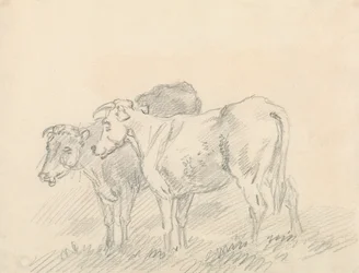 Deux Vaches