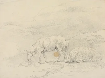 Deux moutons
