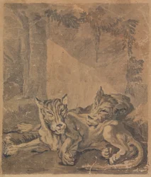 Deux tigres