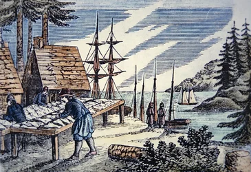 Pêcheurs séchant la morue en Nouvelle-Angleterre, d