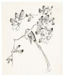 Série des Dix Bambous