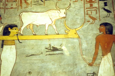 Égypte ancienne, Peinture, Tombe de Ramsès I, Dieux du monde souterrain attachés à Hathor, remorquant la barque solaire