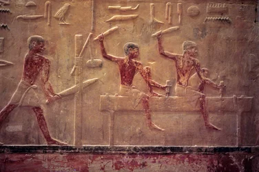Égypte ancienne, peinture murale, Mastaba/Tombe de Ti, Saqqarah, 5e dynastie, Charpentiers sciant et martelant, Façonnage d