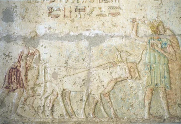 Égypte ancienne, Sculpture/peinture murale, Tombe de Petosiris, Tuna el-Gebel, 300 av. J.-C., Labour et semis des cultures