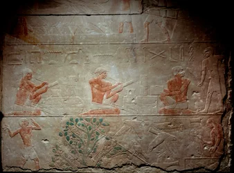 Égypte ancienne : bas-relief en calcaire représentant des scribes de la chapelle de Mastaba à Akhethetep, vers 2300 av. J.-C. 5e dynastie. Ancien empire. De Saqqara (Sakkara). Paris, Musée du Louvre