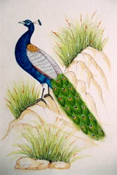 Peinture miniature sur soie : paon