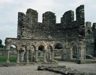 Abbaye de Mellifont située près de Drogheda