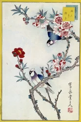 Oiseaux dans un arbre en fleurs