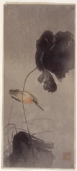 Martin-pêcheur