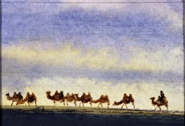 Troupeau de chameaux, Mongolie