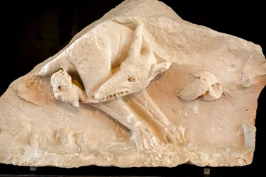 La Louve et les jumeaux Romulus et Remus