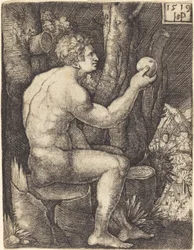 Adam assis