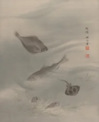 Poissons, vers 1890-92