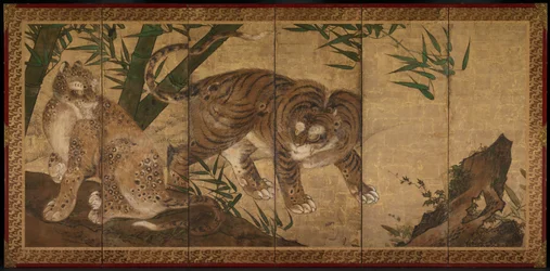 Tigre et léopard